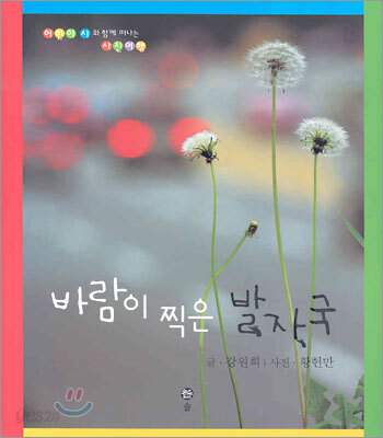 바람이 찍은 발자국