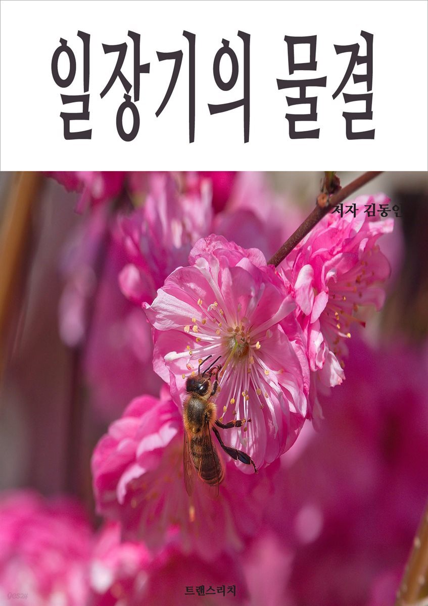 일장기의 물결