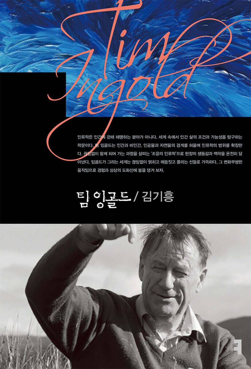 팀 잉골드