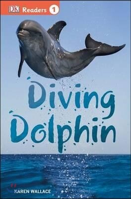 Diving Dolphin