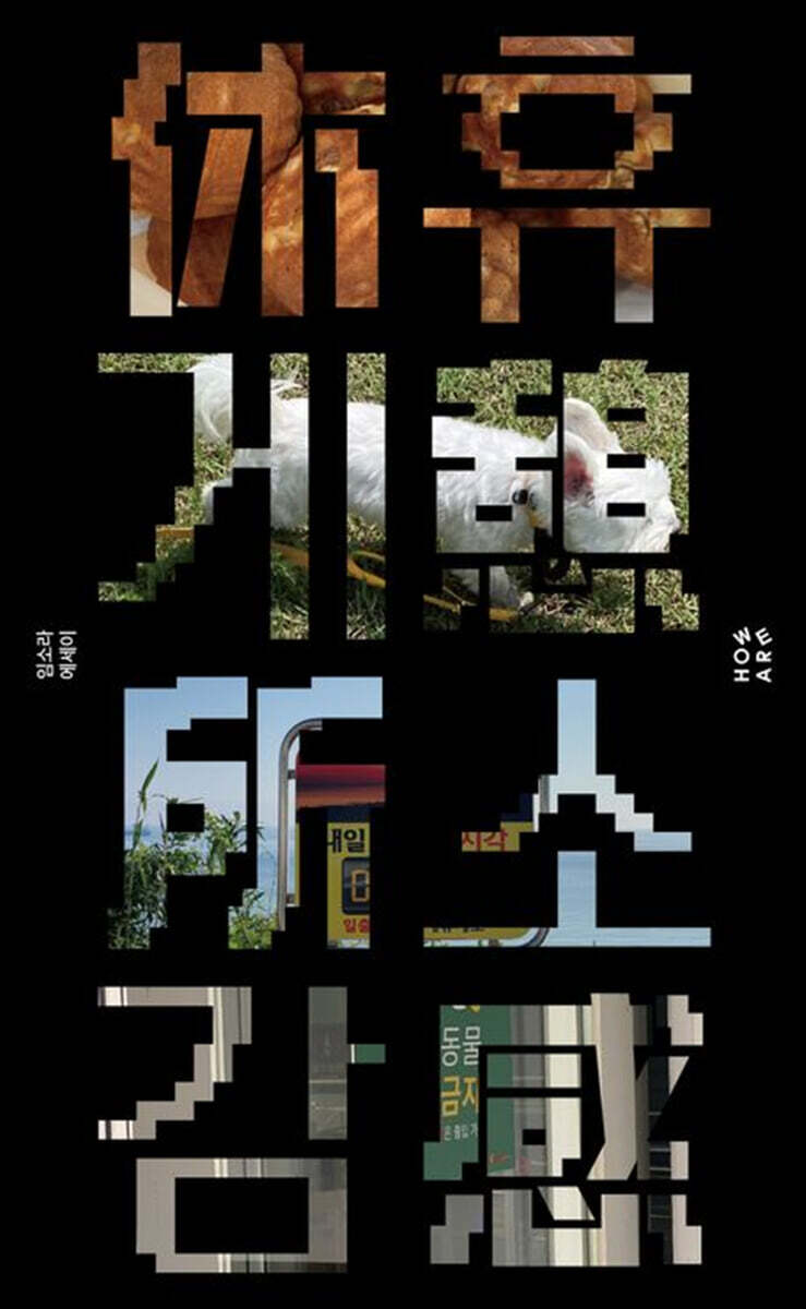 휴게소감