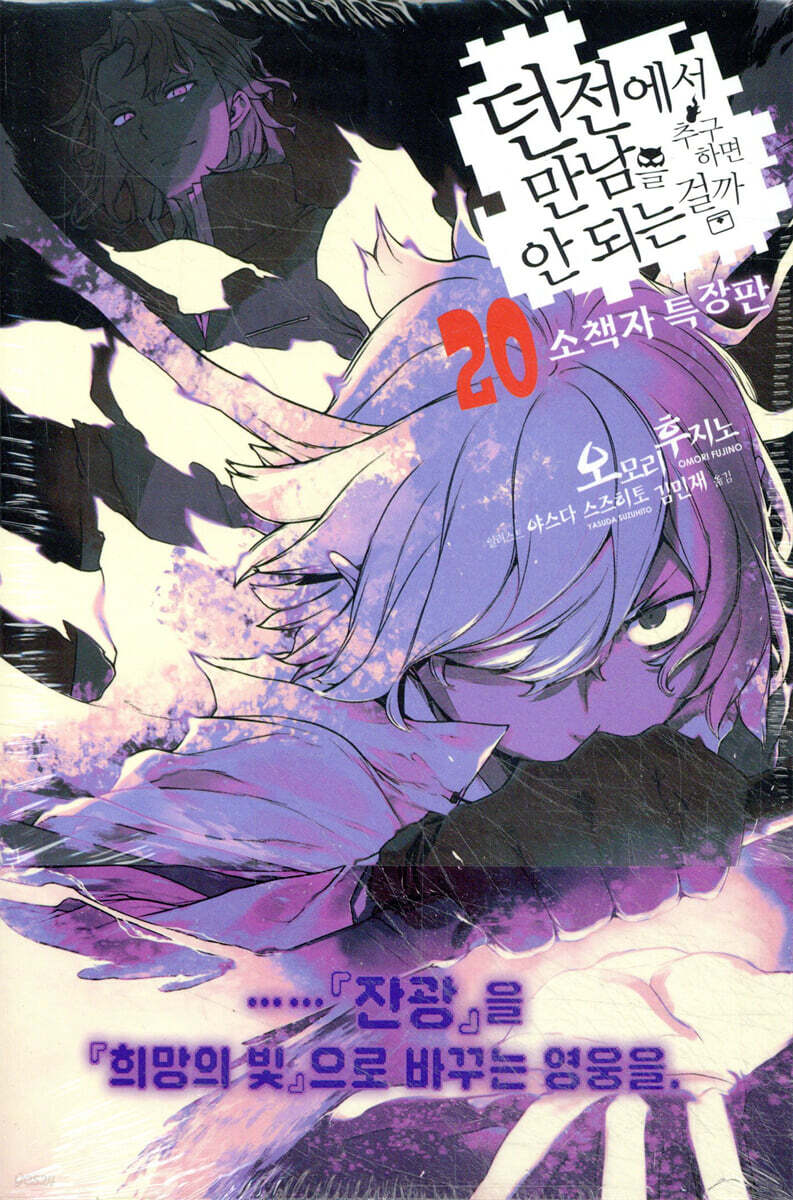 던전에서 만남을 추구하면 안 되는 걸까 20권 (기간 한정 특별판)