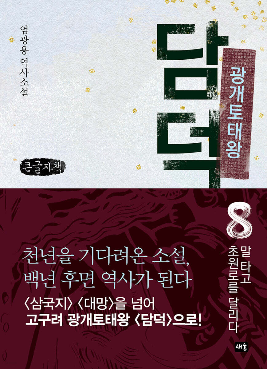 광개토태왕 담덕 8 (큰글자책)