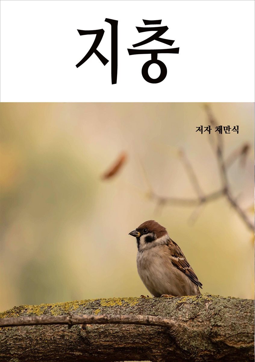 지충