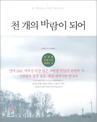 천 개의 바람이 되어