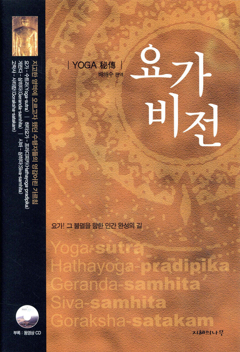 요가 비전