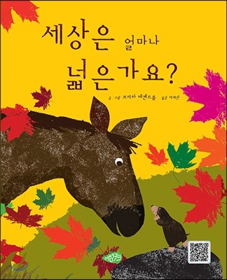 세상은 얼마나 넓은가요? 