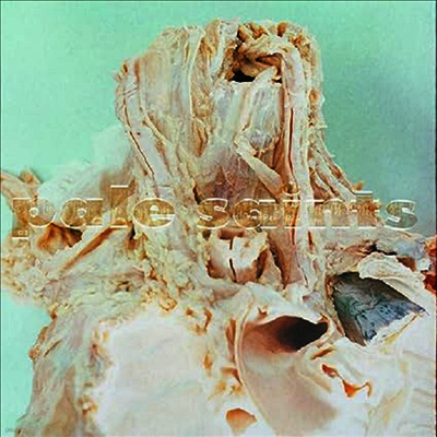Pale Saints — In Ribbons (Remastered) 앨범 커버