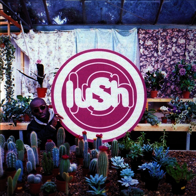 Lush — Lovelife (Remastered) 앨범 커버