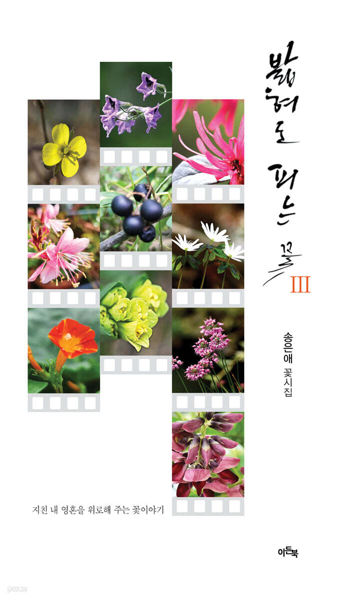 밟혀도 피는 꽃 3
