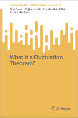 Springer What Is a Fluctuation Theorem?