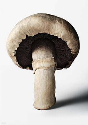 The Gourmand's Mushroom. a Collection of Stories & Recipes