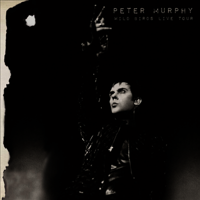 Peter Murphy — Wild Birds Live Tour (Gatefold) 앨범 커버