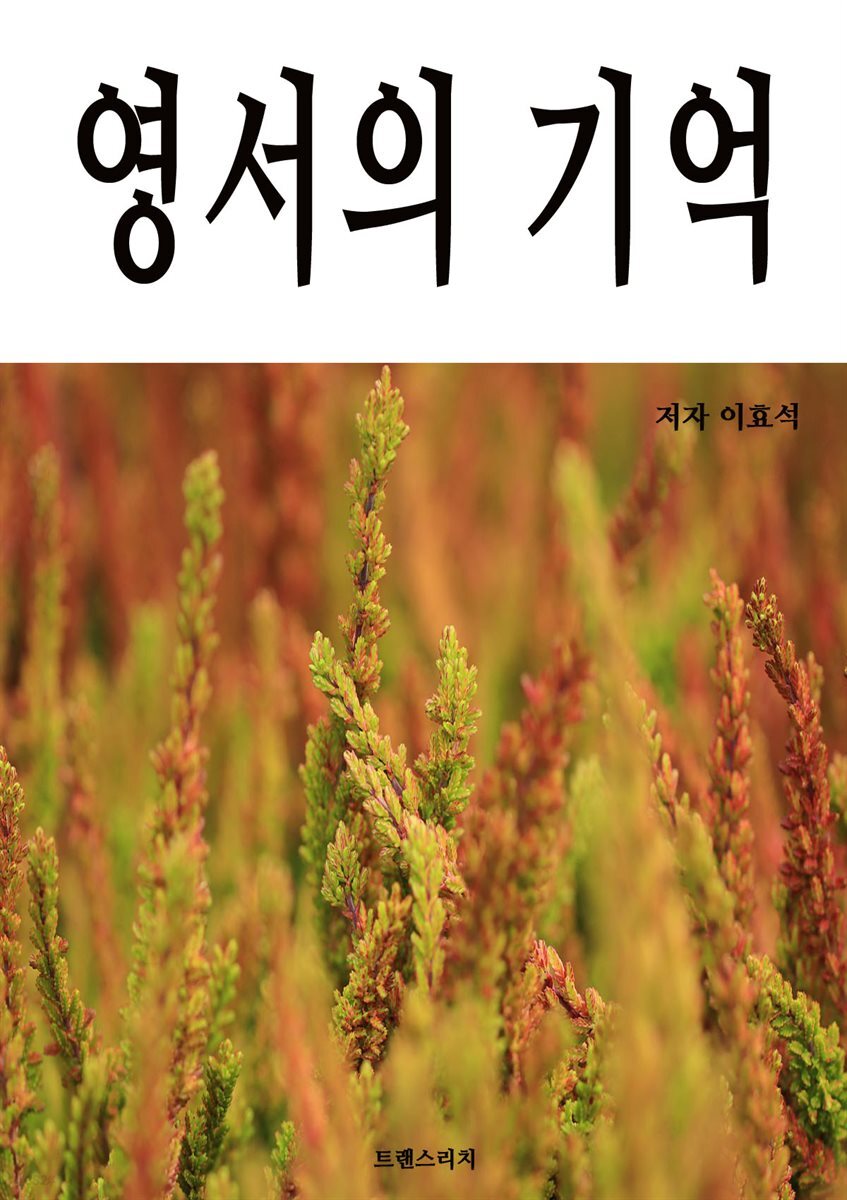 영서의 기억