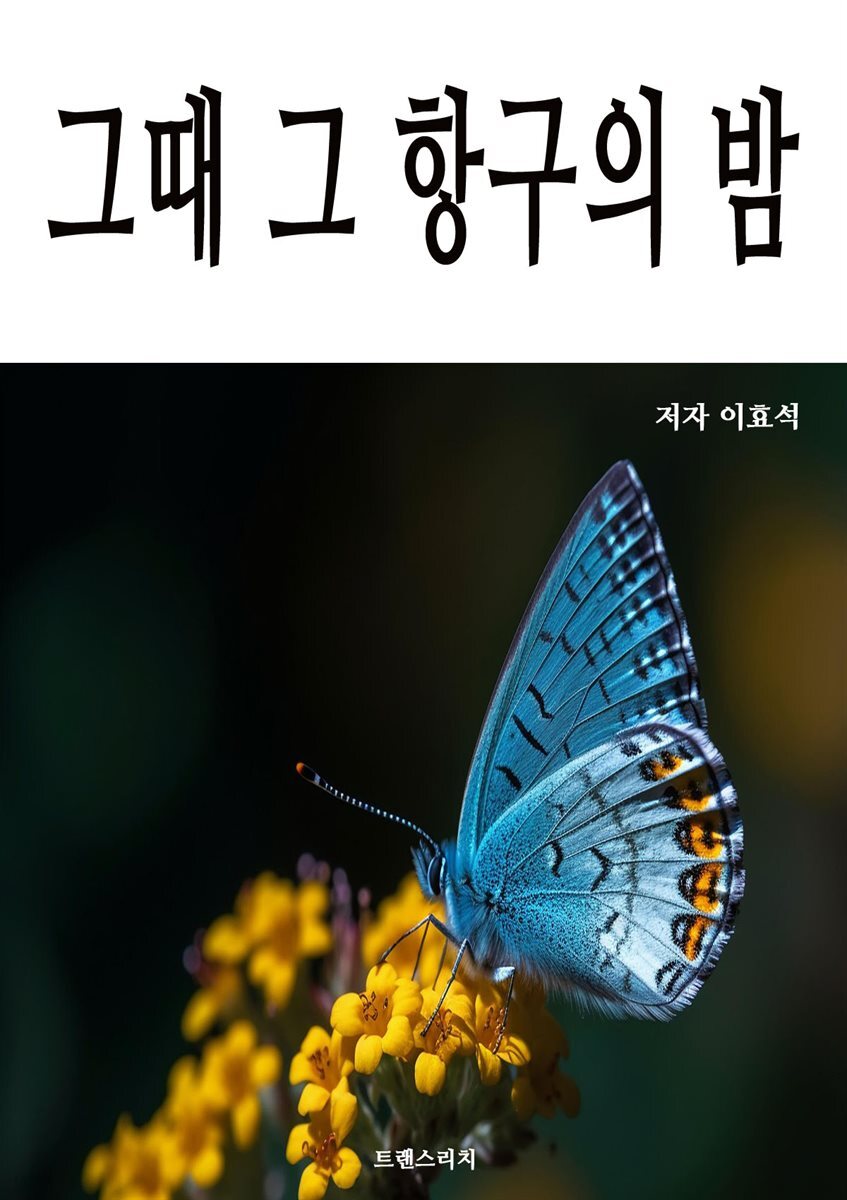 그때 그 항구의 밤