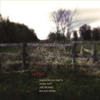 Wadada Leo Smith/Jamie Saft/Joe Morris/Balazs Pandi - Red Hill (CD)