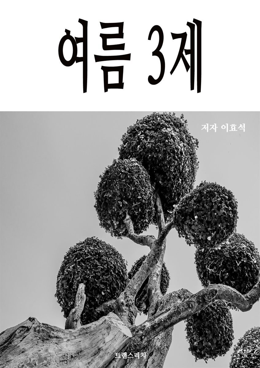 여름 3제