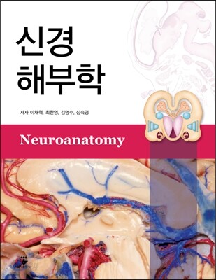 신경해부학