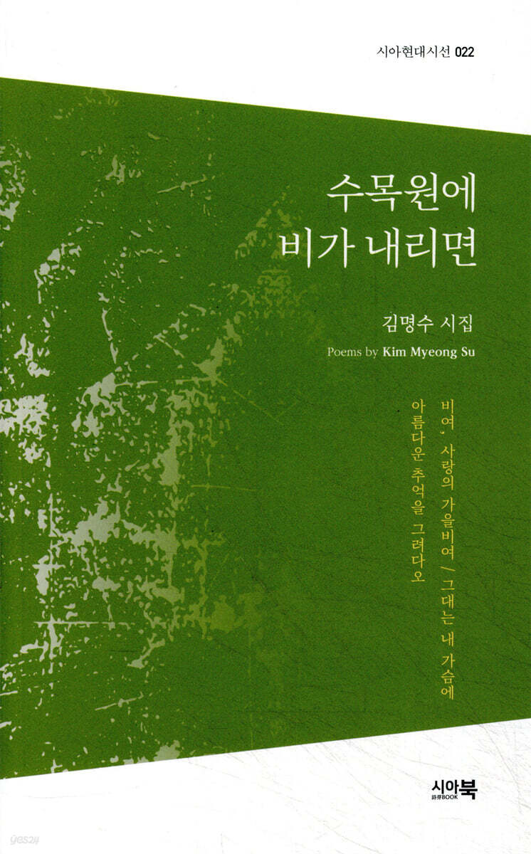 수목원에 비가 내리면