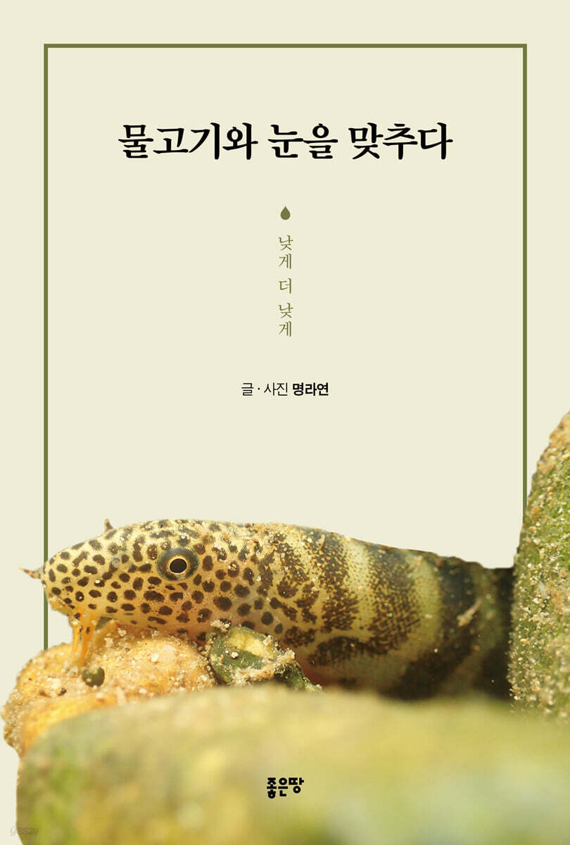 물고기와 눈을 맞추다