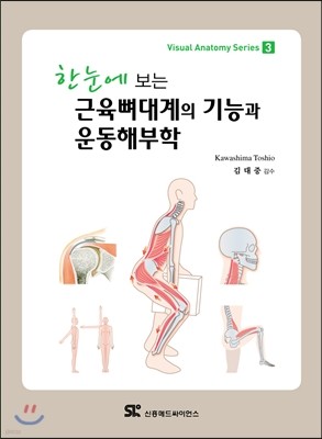 근육뼈대계의 기능과 운동해부학