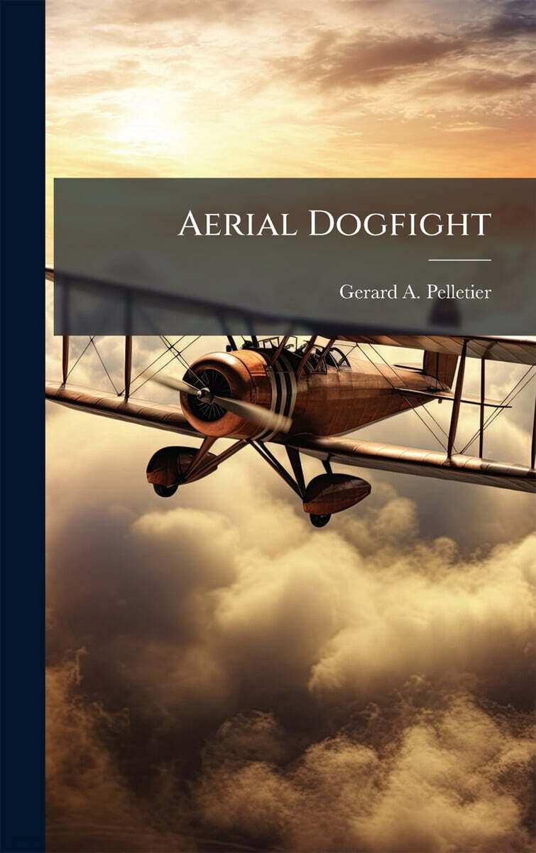 Aerial Dogfight