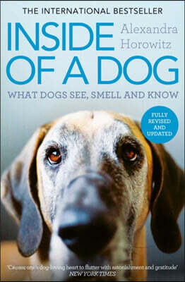 A Inside of a Dog