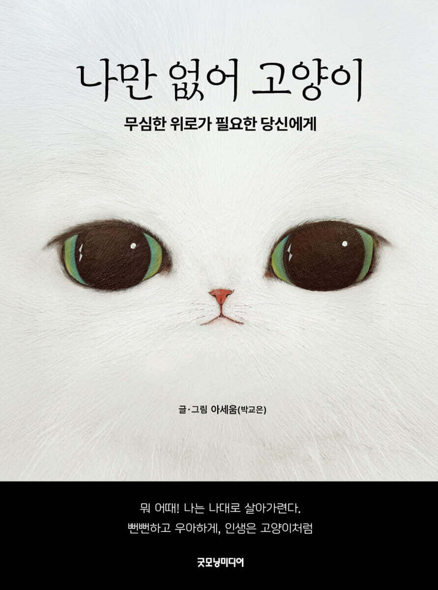 나만 없어 고양이