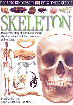 DK Eyewitness Guides : Skelecton