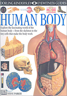 DK Eyewitness Guides : Human Body