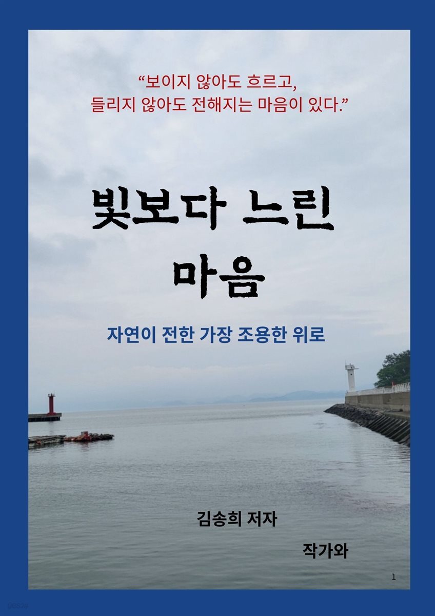빛보다 느린 마음
