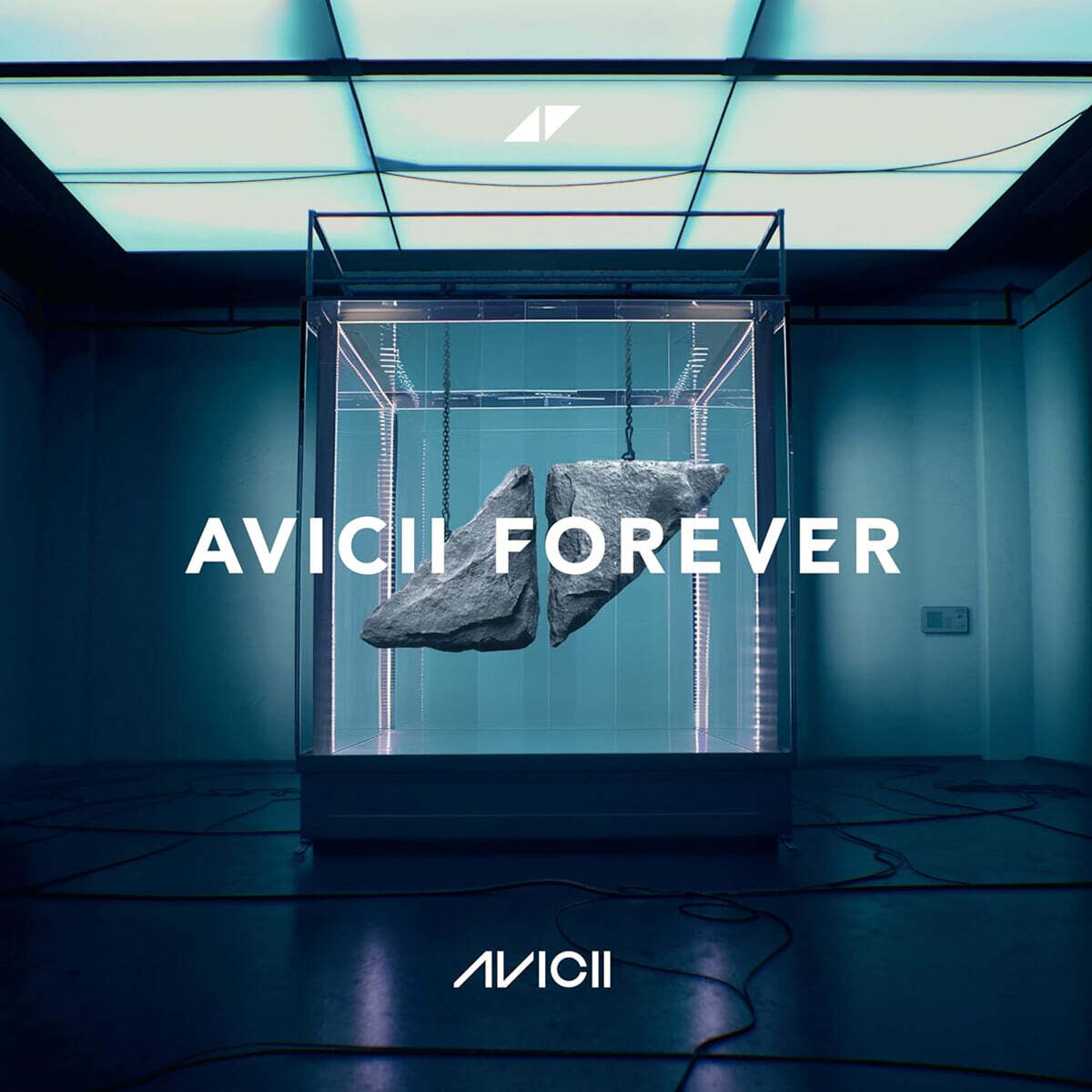 Avicii (아비치) - Forever (Revised) [2LP]