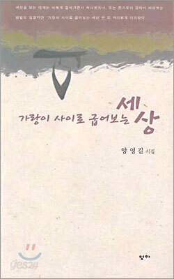 가랑이 사이로 굽어보는 세상