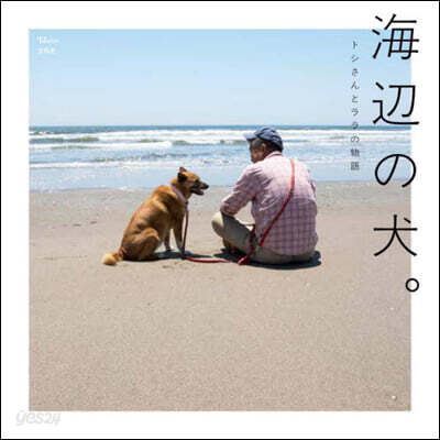 海邊の犬。