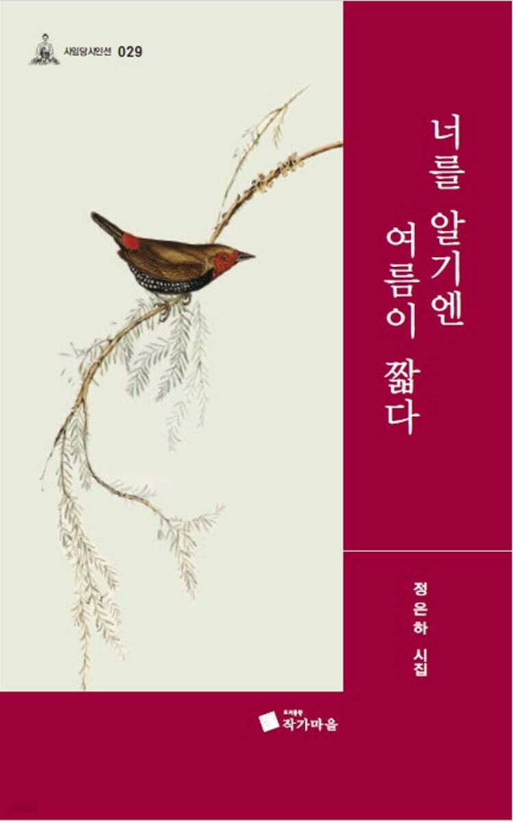 너를 알기엔 여름이 너무 짧다