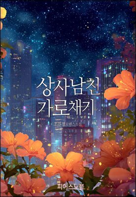 책 정보