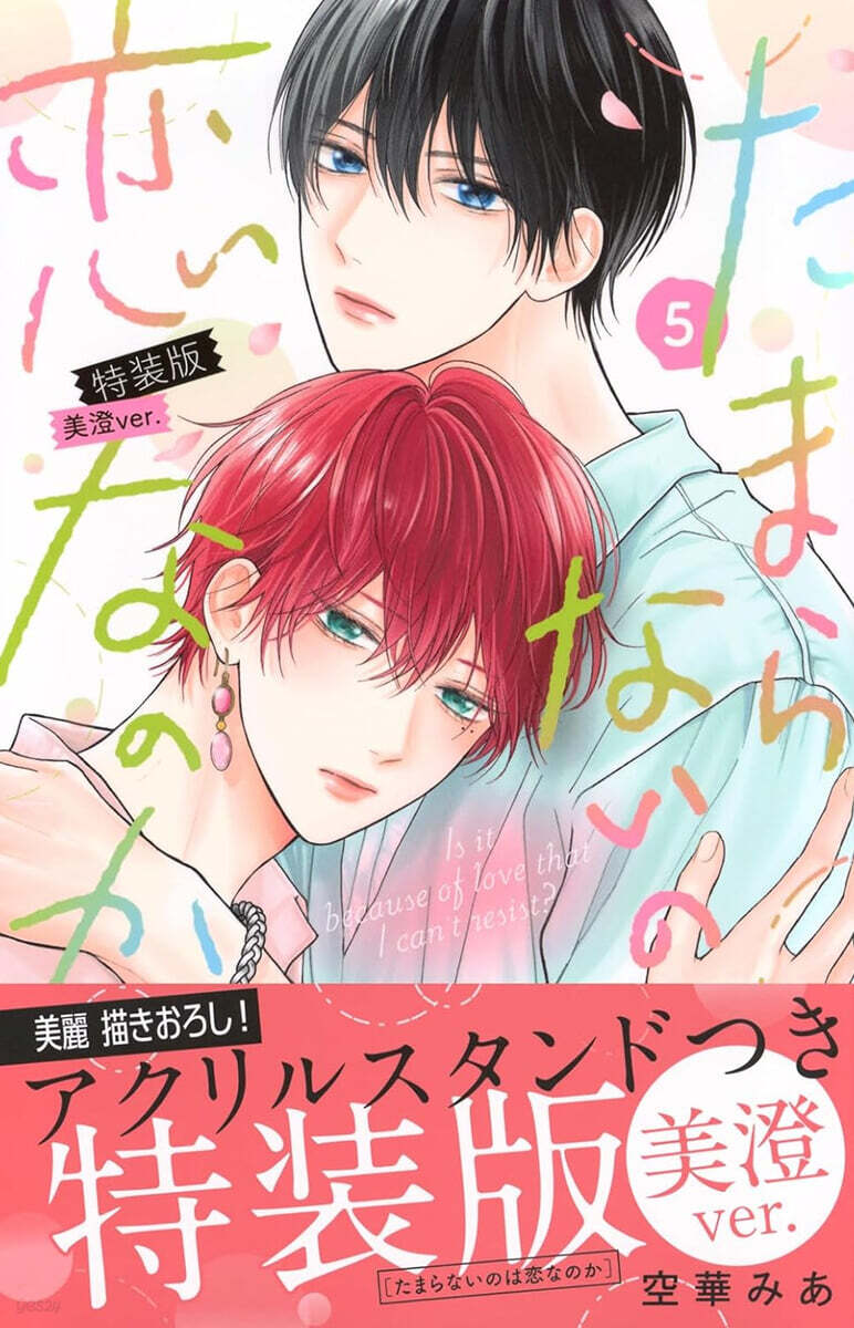 たまらないのは戀なのか 5 特裝版 美澄ver.