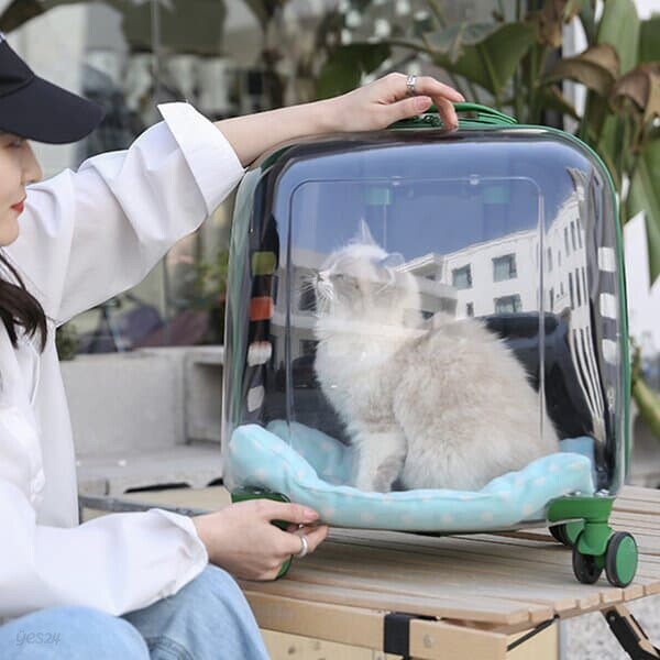 [펫피디아] 마이펫 투명 캐리어 이동가방03