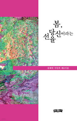책 정보