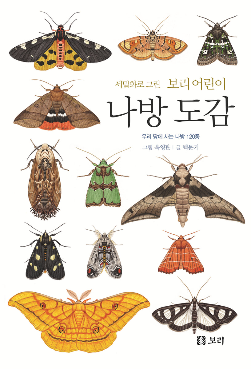 세밀화로 그린 보리 어린이 나방 도감