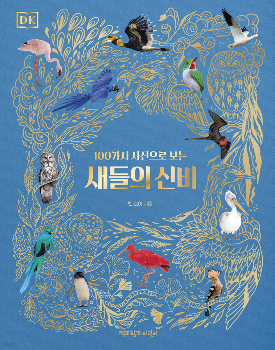 새들의 신비