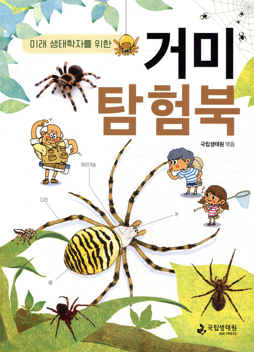거미 탐험북