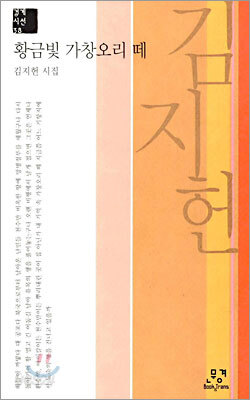 황금빛 가창오리 떼