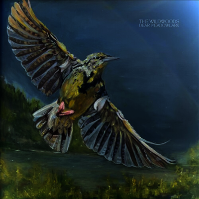 Wildwoods — Dear Meadowlark 앨범 커버