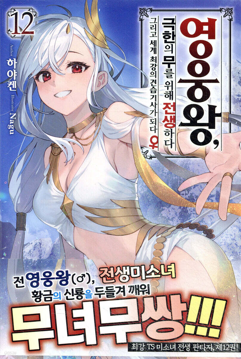 영웅왕, 극한의 무를 위해 전생하다 12권