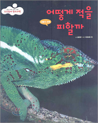 어떻게 적을 피할까