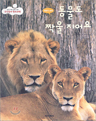 동물도 짝을 지어요