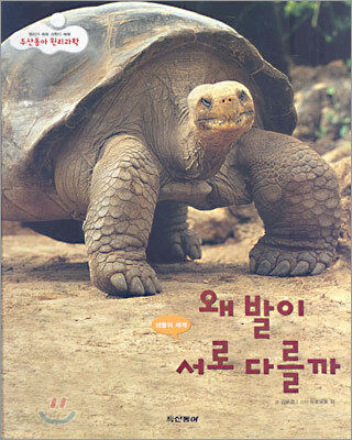 왜 발이 서로 다를까