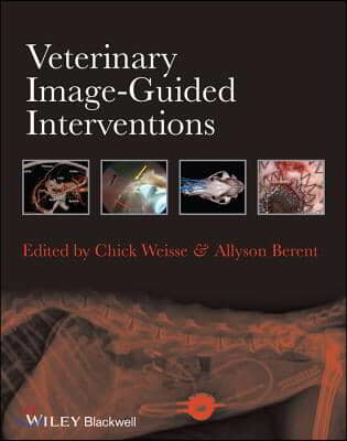 Veterinary Image-Guided Interventions