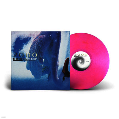 Fleshwater — 2000: In Search Of The Endless Sky (US Indie Exclusive) 앨범 커버